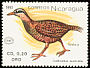Weka Gallirallus australis  1990 New Zealand 90 