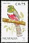 Collared Trogon Trogon collaris