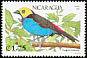 Paradise Tanager Tangara chilensis  1991 Birds 