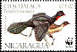 Highland Guan Penelopina nigra