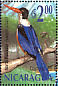 Black-capped Kingfisher Halcyon pileata