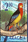 Eastern Rosella Platycercus eximius