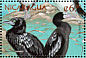Little Black Cormorant Phalacrocorax sulcirostris  1999 Seabirds of the world Sheet