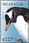 Gentoo Penguin Pygoscelis papua