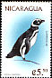 Magellanic Penguin Spheniscus magellanicus  1999 Penguins 
