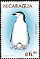 Chinstrap Penguin Pygoscelis antarcticus