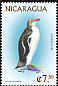 Yellow-eyed Penguin Megadyptes antipodes