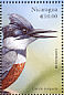Ringed Kingfisher Megaceryle torquata  1999 Flora and fauna of the tropics  MS