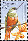 Rufous-tailed Jacamar Galbula ruficauda  2000 Birds of America 