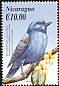 Blue Grosbeak Passerina caerulea  2000 Birds of America 