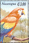 Scarlet Macaw Ara macao  2000 Birds of America Sheet
