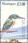 Green Kingfisher Chloroceryle americana  2000 Birds of America Sheet