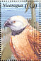 Black-collared Hawk Busarellus nigricollis  2000 Birds of America Sheet