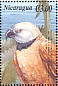 Black-collared Hawk Busarellus nigricollis