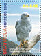 Roadside Hawk Rupornis magnirostris  2001 Nicaraguan wildlife in danger of extinction 6v sheet