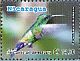 Steely-vented Hummingbird Saucerottia saucerottei  2012 Rio San Juan 6v sheet