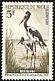 Saddle-billed Stork Ephippiorhynchus senegalensis