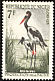 Saddle-billed Stork Ephippiorhynchus senegalensis