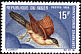 Senegal Coucal Centropus senegalensis  1968 Birds 