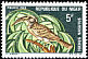 African Grey Hornbill Lophoceros nasutus  1968 Birds 