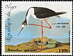 Black-necked Stilt Himantopus mexicanus  1985 Audubon 
