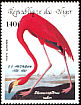 American Flamingo Phoenicopterus ruber  1985 Audubon 