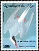 Arctic Tern Sterna paradisaea  1985 Audubon 