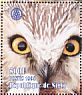 Northern Saw-whet Owl Aegolius acadicus  1998 Italia 98  MS
