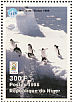 Adelie Penguin Pygoscelis adeliae