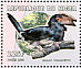 Trumpeter Hornbill  Bycanistes bucinator