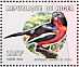 Crimson-breasted Shrike Laniarius atrococcineus