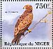 Lesser Spotted Eagle Clanga pomarina  2013 Birds of prey Sheet