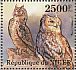 Pharaoh Eagle-Owl Bubo ascalaphus  2013 Owls  MS