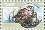 Spotted Eagle-Owl Bubo africanus  2014 Owls Sheet