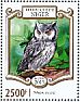 Northern White-faced Owl Ptilopsis leucotis  2015 Owls  MS