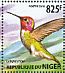 Anna's Hummingbird Calypte anna  2015 Hummingbirds Sheet