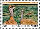 Nubian Bustard Neotis nuba  2015 Bustards Sheet