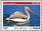 Pink-backed Pelican Pelecanus rufescens  2015 Pelicans Sheet