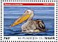 Great White Pelican Pelecanus onocrotalus  2015 Pelicans Sheet
