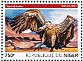 White-backed Vulture Gyps africanus  2015 Vultures Sheet