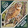 Mottled Wood Owl Strix ocellata
