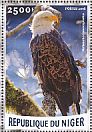 Bald Eagle Haliaeetus leucocephalus  2016 Eagles  MS