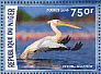 Great White Pelican Pelecanus onocrotalus