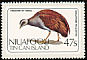 Tongan Megapode Megapodius pritchardii  1983 Birds of Niuafoou sa