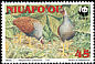 Tongan Megapode Megapodius pritchardii