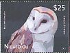 Eastern Barn Owl Tyto javanica  2012 Barn Owl No frame