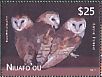 Eastern Barn Owl Tyto javanica