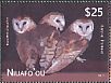 Eastern Barn Owl Tyto javanica  2012 Barn Owl No frame