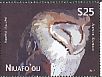 Eastern Barn Owl Tyto javanica  2012 Barn Owl No frame