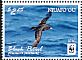 Black Petrel Procellaria parkinsoni